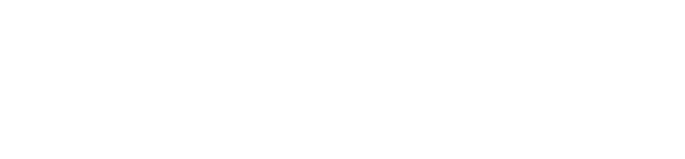 Hilco Asset Solutions ANZ white png