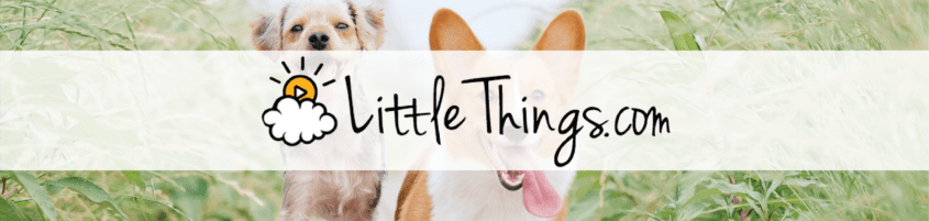 Little Things