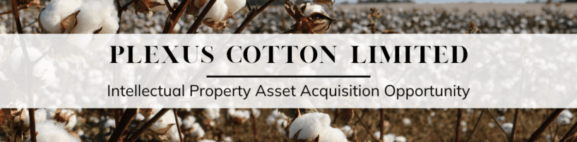 Plexus Cotton Limited (2)