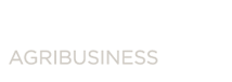 bridgewell logo 2