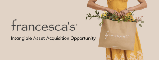 francesca's brand acquisition opportunity v2 (1)