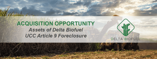 Delta Biofuel Banner Final v3