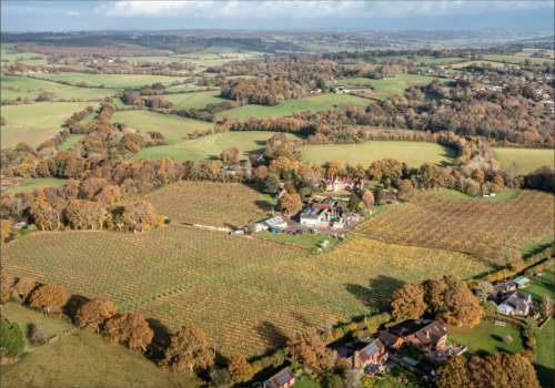 Carr Taylor Vineyard 3
