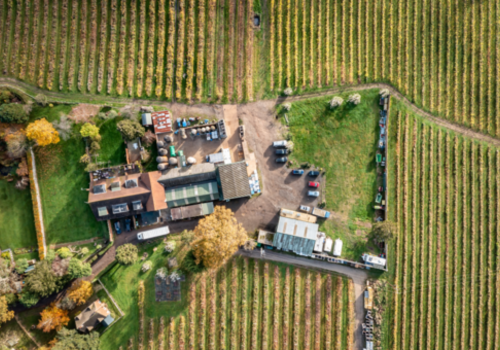 Carr Taylor Vineyard 7
